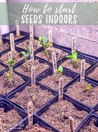 Starting Garden Seeds Indoors