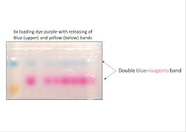 gel loading dye purple 6x for dna