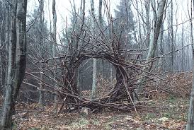 Image result for andy goldsworthy art