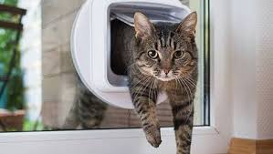 Cat Flap Installation In Derby Able Group