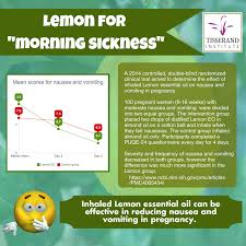 Research Lemon Oil For Morning Sickness Tisserand Institute
