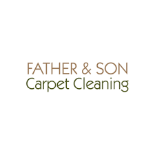 carpet cleaner repair in pell city