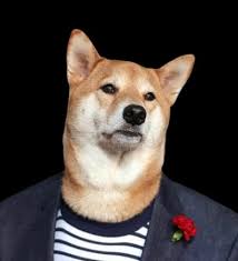 No harassment of any kind. Doge Cheems Weird Memes And Meme Templates Doggo Dog Cheems Beingcricky