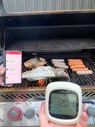 the best grill thermometers tested in