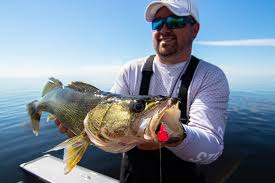 3 Walleye Fishing Tips For Opening Day