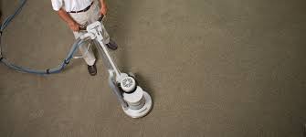 carpet upholstery cleaning service