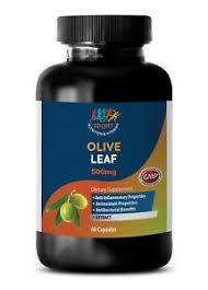 Solaray olive leaf extract is guaranteed to contain a minimum of 17% of the active compound oleuropein. Antioxidant Olive Leaf Extract All Natural Weight Loss Supplement 1 Bottle Ebay