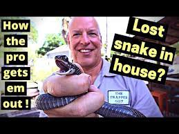 How To Get A Snake Out Of Your House
