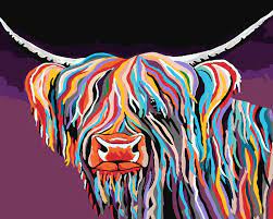 Colourful Highland Cow Art Paint By
