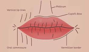 how to get rid of lip wrinkles women