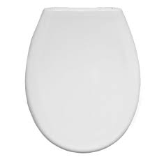 Slow Close Toilet Seat Bemis