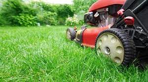 Tauranga Lawn Mowing And Lawn Care Services