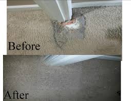 carpet repair oak brook phase 2 services