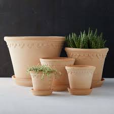 terracotta pots and planters gardenista