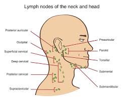 Lymphoma Symptoms 9 Warning Signs Of Lymphoma A2z Healthy