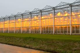 Commercial Greenhouse Cost 2023