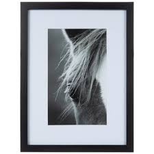 Black White Horse Eye Framed Wall