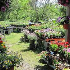 Nurseries Gardening Near Cheshire Ma