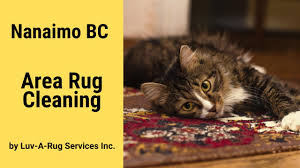 nanaimo bc area rug cleaning by luv a