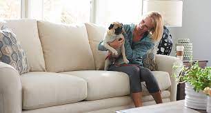 best furniture for pets leather or fabric