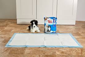 the 7 best puppy pads of 2024 tested