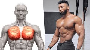upper chest exercises ranked best to