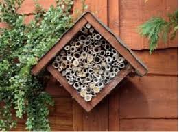 This is why most people build bees houses in their yards in the first place, to benefit from better pollination and a thriving garden. A Brief Guide To Bee Nest Boxes Bumblebee Conservation Trust