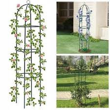 Metal Garden Obelisk Trellis Plant