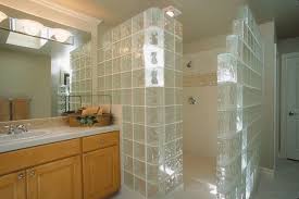 Glass Block Shower Modern Bathroom
