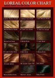 Loreal Color Chart Hair Professionals Best Picture Of