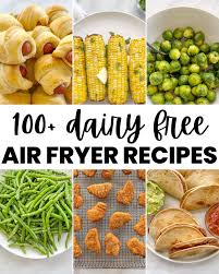 100+ Easy Dairy Free Air Fryer Recipes and Ideas - The Urben Life