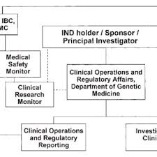 Clinical Organizational Chart For The Lincl Study Bb Ind