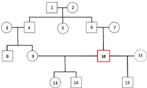 An Example Of Pedigree Graph With Half Siblings Download