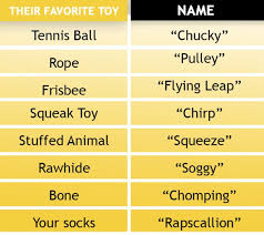 This Hilarious Chart Lets You Pick A Fancy Show Dog Name For