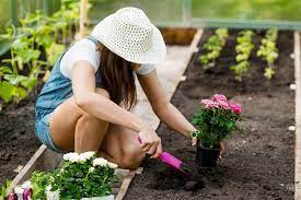 Gardening Tips For Absolute Beginners