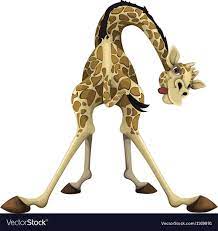 Giraffe Royalty Free Vector Image - VectorStock