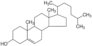 lipid types and structures nutrition