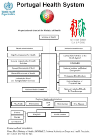 7 Organizational Chart Of Portugal U S Ministry Of Health