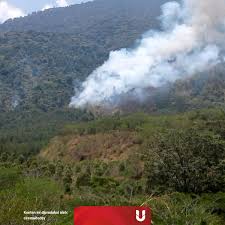 Hutan desa setianegara / konservasi lingkungan di indonesia jadi referensi negara g. Api Kembali Menyala Di Hutan Ciremai Kumparan Com