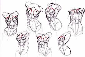 Female body shape or female figure is the cumulative product of a woman's skeletal structure and the quantity and distribution of muscle and fat on the body. Anatomy Reference Drawing