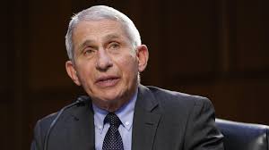 Fauci was booked on shows over the weekend but had to have those appearances reaurhorized by pence's office after the vp was placed in charge of coronavirus response, a source familiar with the situation says. Fauci Coronavirus Pandemic Unveiled The Undeniable Effects Of Racism In U S