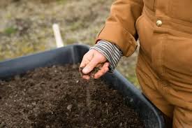 The Best Soil For Your Vertical Garden