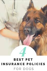 Pet insurance can ensure that you can afford the care your pet needs. What Is The Best Pet Insurance To Get For Dogs