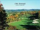 Olde Stonewall Golf Club - Course Profile | Course Database
