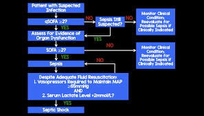 Definitions initial resuscitation diagnosis pathway steroids fluid therapy. Operationalization Of New Sepsis And Septic Shock Criteria Rebel Em Emergency Medicine Blog