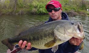 Largemouth Bass By The Calendar On The Water