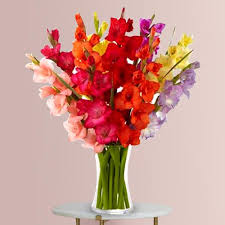 You can choose to have your flowers delivered by a local florist or shipped in a box by a reputable mail carrier. Flowers To Patna Online Flower Delivery In Patna 1 Local Florist