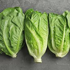 romaine lettuce nutrition benefits