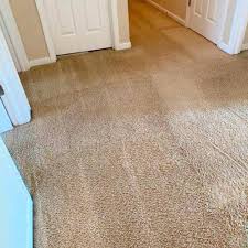 the 1 carpet cleaning in columbus oh