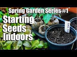 Starting Seeds Indoors For Your Spring